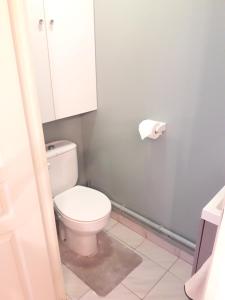 a bathroom with a toilet and a roll of toilet paper at Superbe Appartement FREJUS PLAGE in Fréjus +9 photos
