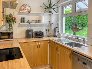 a kitchen with wooden cabinets and a sink and a window at Ferry View in Cardigan