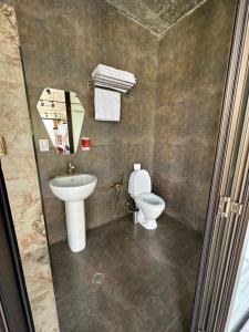 a bathroom with a toilet and a sink at Hotel NOA Kazbegi in Kazbegi