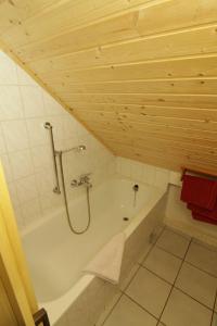a bathroom with a bath tub with a shower at Ferienhaus-der-Villa-Elsa in Dresden