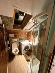 La petite salle de bains est pourvue d'une douche et de toilettes. dans l'établissement Studio 200 mètres plage -Côte des basques-, Biarritz, à Biarritz