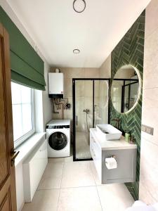 uma casa de banho com um lavatório e uma máquina de lavar roupa em D&A Apartamentai em Palanga