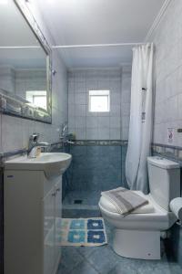 ein Bad mit einem WC, einem Waschbecken und einer Dusche in der Unterkunft Katerina & Elia's Family House in Leonidi