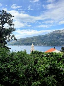 a view of a large body of water with a tower at Apartment Lozica with private garden, self check-in in Korčula