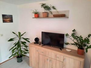 a tv sitting on top of a wooden cabinet with plants at Apartment Lozica with private garden, self check-in in Korčula