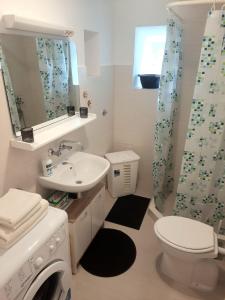 a bathroom with a sink and a toilet and a mirror at Apartment Lozica with private garden, self check-in in Korčula