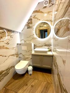 a bathroom with a toilet and a sink and a mirror at D&A Apartamentai in Palanga
