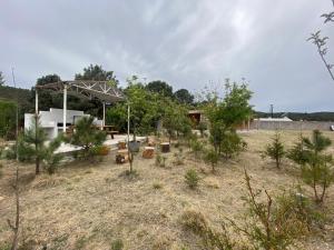 einen Garten mit Bäumen und einem Pavillon auf einem Feld in der Unterkunft Cabañas Rochivo Ranch in Creel