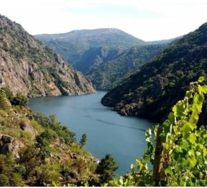 a view of a lake in the middle of a mountain at Piso Ribeira Sacra in Monforte de Lemos