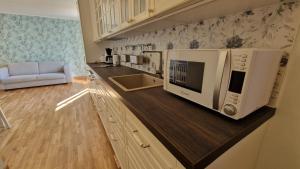Kuchyň nebo kuchyňský kout v ubytování Kivi Residence