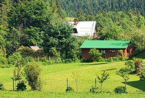 a barn in the middle of a green field at Domek pod Brzózką in Ochotnica Górna