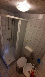 La salle de bains est pourvue d'une douche et de toilettes blanches. dans l'établissement Domek pod Brzózką, à Ochotnica Górna