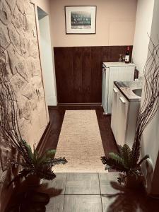 Una cocina o cocineta en Apartman Podroom