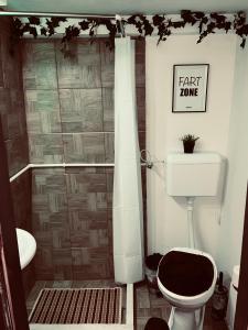 a bathroom with a toilet and a walk in shower at Apartman Podroom in Kraljevo