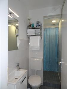y baño con aseo, lavabo y ducha. en Apartman Jelena, en Zagreb