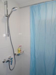 y baño con ducha con cortina azul. en Apartman Jelena, en Zagreb