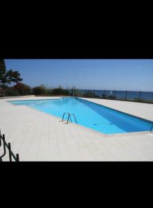 a large swimming pool with the ocean in the background at Chez Céline & Rudi in San-Nicolao