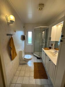 ein Bad mit einem WC, einem Waschbecken und einer Dusche in der Unterkunft Fantastisk eiendom med flott utsikt 
