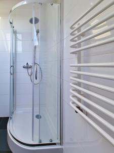 um chuveiro com uma porta de vidro na casa de banho em Ararat em Grudziądz