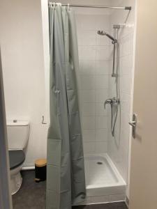y baño con ducha y aseo. en Appart'Hotel - Gare TGV - Courtine - Confluence - 407 en Aviñón