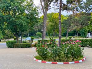Zahrada ubytování Hotel Majestic Olimp All Inclusive