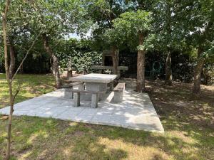 A garden outside A PORTELA - Pereiro de Aguiar