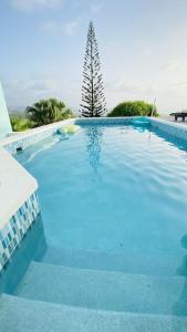a large blue swimming pool with a tree in the background at Villa Ocean Blu in Cap Estate
