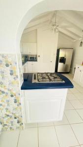 - une cuisine avec une cuisinière dans l'établissement Villa Ocean Blu, à Cap Estate