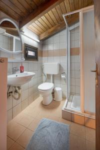 Koupelna v ubytování Chalet Renata 2 Livadi Arachovas