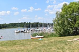 a small boat sitting on the grass next to a marina at Apartament Zacisze in Iława