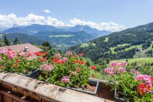 a view from the balcony of a house with flowers at Leishof in Villandro