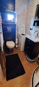 a bathroom with a sink and a toilet and a sink at ORYNKA chatka w Malinnikach in Malinniki