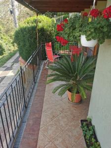 een patio met rode stoelen en een potplant bij Green Apple Guesthouse in Leányfalu