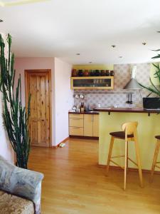 eine Küche mit einer Theke und einem Tisch in einem Zimmer in der Unterkunft Green Hall apartment in Ignalina