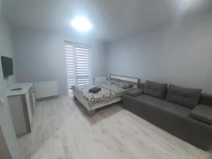 ein Wohnzimmer mit einem Sofa und einem Bett in der Unterkunft Apart Pro in Uschhorod