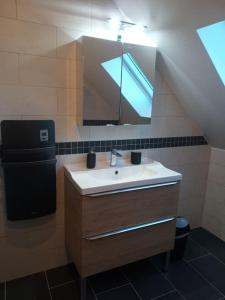 uma casa de banho com um lavatório e um espelho em Chez Sandra em Dalhunden