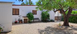 a white house with a tree and a bench at Finca Gamundi in L'Ampolla