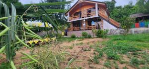 Zahrada ubytování Guesthouse kalakala