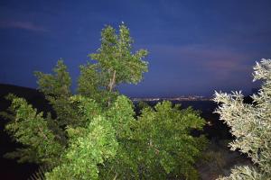 a tree on top of a hill with a city in the background at ROMANTICA in San Bartolomé