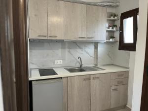Kuchyň nebo kuchyňský kout v ubytování Apartment & Studios Haido
