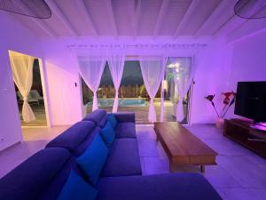 Televiisor ja/või meelelahutuskeskus majutusasutuses Villa Amaryllis luxueuse,piscine,vue mer,plage