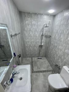 a bathroom with a shower and a toilet and a sink at EMIREST Barnhouse in Gabala
