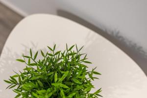 Fotografie z fotogalerie ubytování Petra Suite v destinaci Riglia