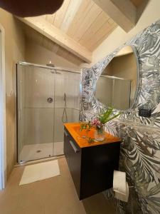 a bathroom with a shower and a vanity with a mirror at B&B Ai Cortili in Sant'Egidio del Monte Albino