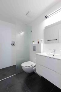 Baño blanco con aseo y lavamanos en Ambassador apartment+parking, en Tel Aviv