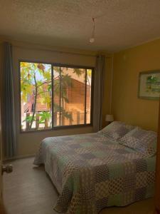 a bedroom with a bed and a large window at Portofino Surf Camp in Ciudad de Chañaral
