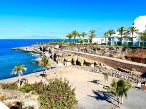 vistas a una playa con palmeras y al océano en Luxury apartment in Ocean Garden Playa Paraiso, en Arona