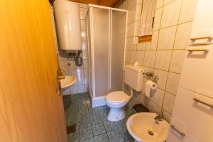 een kleine badkamer met een toilet en een wastafel bij Vila DOLINA MIRU in Zavrč