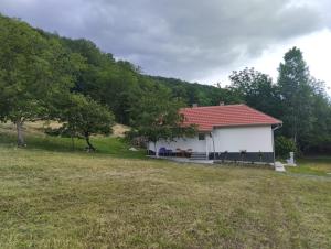 a white house with a red roof in a field at Vitovnicki Mir in Petrovac na Mlavi