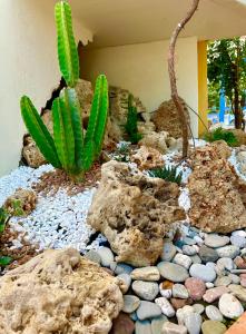 a garden with rocks and cacti and cactus at Niriides in Kyparissia